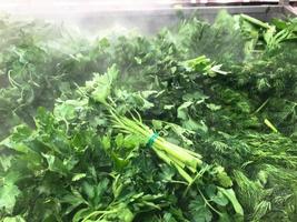 Green fresh environmentally friendly greens of parsley plants dill salad arugula onions and other plant foods with droplets of water and steam in the freshness chamber. Background, texture photo