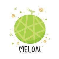 vector de melón melón sobre fondo blanco. fondo de pantalla. diseño de logo.