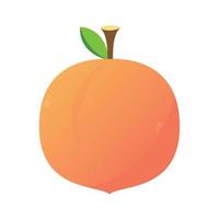 peach cartoon vector. symbol. logo design. vector