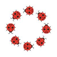 Lady bug vector. wallpaper. free space for text. copy space. blank. vector