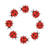 Lady bug vector. wallpaper. free space for text. copy space. blank. vector