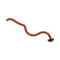 Hammerhead Worm. Hammerhead Worm vector. Hammerhead Worm on white background. vector