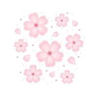 Sakura flower pattern. wallpaper. background. free space for text. copy space. blank. vector