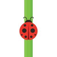 ladybug on leaf. wallpaper. free space for text. background. symbol. ladybug on white background. vector