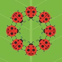 Ladybug on leaf. wallpaper. free space for text. background. symbol. ladybug on white background. vector