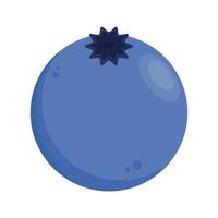 Blueberry vector. blueberry on white background. symbol. logo design. vector