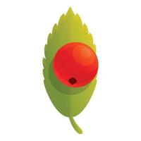 Rowan berry icon, cartoon style vector