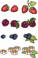 Set of juicy Berries. vector illustration Cartoon style.