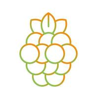 Raspberry Vector Icon