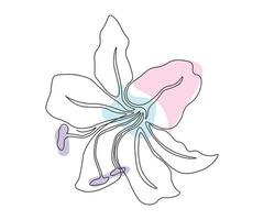 la flor de lirio está dibujada a mano en un estilo minimalista, en la técnica de una sola línea, una monolínea. símbolo de cosméticos, logotipo de salón de belleza vector