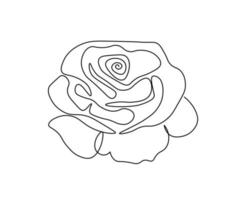 black-and-white illustration with a rose flower in line art style vector