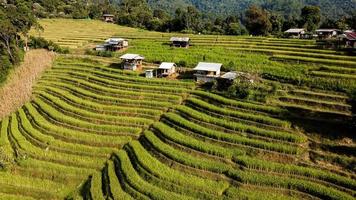 Aerial view of Rice terrace at Ban pa bong piang in Chiang mai Thailand photo