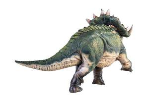 dinosaur , Sinoceratops isolated background  clipping path photo