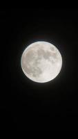lua noturna close-up no céu video