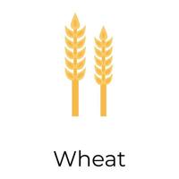 Trendy Wheat Concepts vector