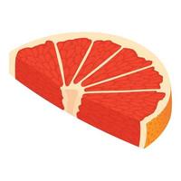 Slice grapefruit icon, isometric style vector