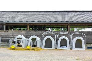 Cows in cow shed on a farm in Germany. photo