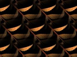 gold leaf pattern Decoration elements for invitations, wedding cards, valentines day, greeting cards. Isolated on black background photo