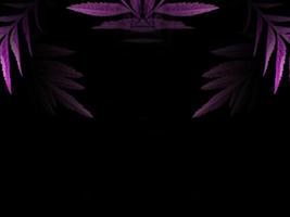 pattern tree branch with pink leaves on black background isolated closeup, botanical sign. Decoration elements for invitations, wedding cards, valentines day, greeting cards photo