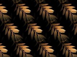 gold leaf pattern Decoration elements for invitations, wedding cards, valentines day, greeting cards. Isolated on black background photo