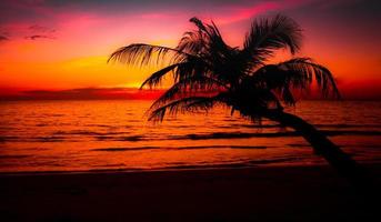 hermosa puesta de sol en la playa tropical del mar. silueta de palmeras sobre fondo de cielo rosa para viajes y vacaciones como verano foto