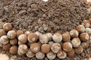 montón de em ball, bola de microorganismos eficaz para mejorar el suelo y la planta norish en granja orgánica. foto