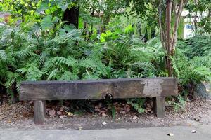 Old bench made from railroad tie wood beside concrete walkway and behind with fern and greenery tree, Thailand. photo