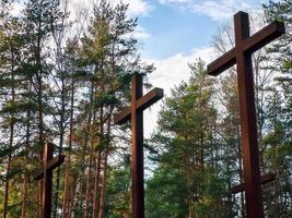 cruces altas entre los árboles en el cementerio militar polaco. monumento a la segunda guerra mundial. foto