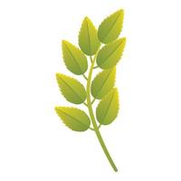 Rowan leaf icon, cartoon style vector