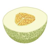 Half fresh melon icon, isometric style vector