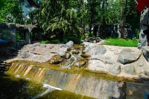 Photo of empty aviary with waterfall and pond for predators in the zoo