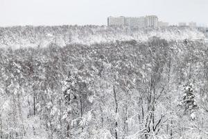 snow-covered urban park in winter evening photo