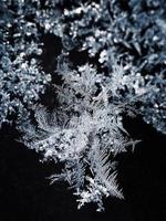 snowflakes and frost pattern on glass close up photo