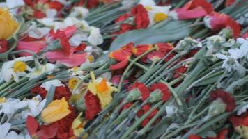 seger dag, en icke arbetssätt Semester, den där firar minnet de kapitulation av nazi Tyskland till de sovjet union under de andra värld krig. blommor placerad på en monument, i lettland. video