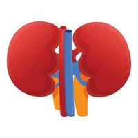 Anatomical kidney icon, cartoon style vector