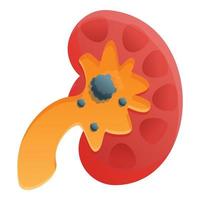 Pain kidney icon, cartoon style vector