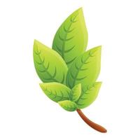 Basil aroma icon, cartoon style vector