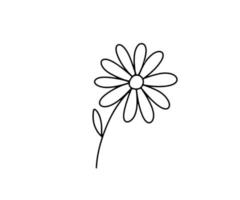 Margarita flor dibujada a mano. boceto de contorno vectorial. garabato de arte de línea aislado en blanco vector