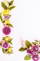 flower frame of yellow and purple dahlias. pastel background. the concept of autumn. a festive card, a poster. top vertical view. pastel background. photo