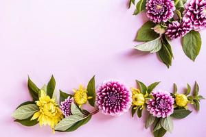 a bright floral garland of autumn dahlias on a pink background. top view. flat styling. a copy of the space. autumn composition. postcard. poster. photo