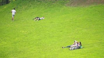 ung människor koppla av i de parkera Sammanträde på grön gräs video