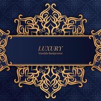 luxury background, with mandala ornament vector