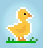 8-bit duck pixels. Animal game assets in vector illustrations.