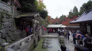 2019-11-23 KYOTO, JAPAN. People at the Otova waterfall in Kiyomizu-dera - a Buddhist temple complex in Kyoto. Buddhist Temple Kiyomizu-dera is one of the main attractions of the city of Kyoto. video