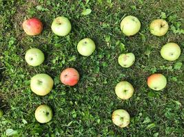 letters from apples. two letters  apple inscription. letters for word, congratulations, creative image photo