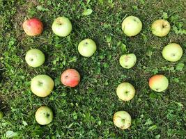 letras de manzanas. inscripción de manzana de dos letras. letras para word, felicitaciones, imagen creativa foto