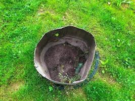 the bucket is on the grass. a bucket for waste, agriculture, smeared in black fuel oil. there is no bottom in the bucket, a container for planting flowers. homemade flower bed photo