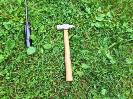 there is a hammer and a screwdriver on the grass. tools for repairs are laid out on the lawn. hammer on a wooden handle with a chrome tip. among the little green leaves photo