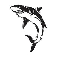 Shark Silhouette Vector illustration -  Black and white Shark clipart