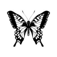 Black and White Butterfly - Butterfly Silhouette vector